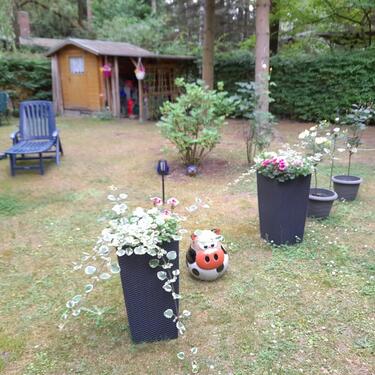 Foto - 2 Zimmer Einfamilienhaus in Coswig (Anhalt)