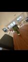Foto - 5 Zimmer Doppelhaushälfte zum Kaufen in Elchingen