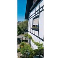 Wohngemeinschaft zu gründen mit netter Dame 60+ (2er Wohngemeinsc - Gummersbach Berstig Süd