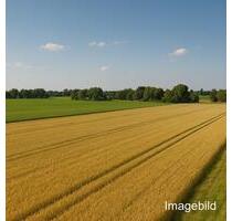 Landwirtschaftliche Nutzflächen zur Verpachtung Gemarkung Liebenthal, Gemeinde Heiligengrabe - Liebenwalde