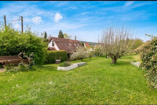 Foto - Einfamilienhaus in Syrgenstein zum Kaufen