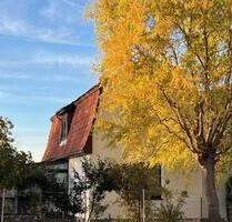 3-Zimmer-EG-Wohnung in BS-Rüningen - Braunschweig Broitzem 3-Zimmer-EG-Wohnung in BS-Rüningen - Braunschweig Broitzem