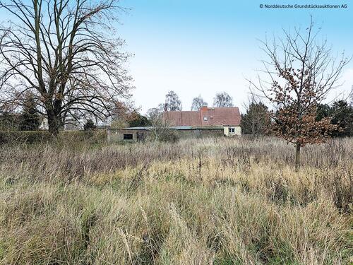 Foto - Auktion - unbebautes Grundstück in 18513 Bassin