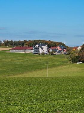 Foto - andere in Freiamt