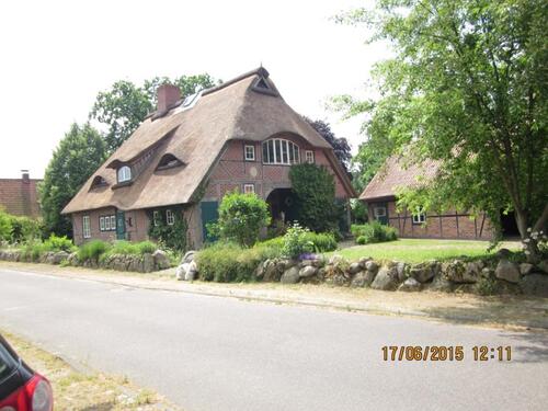 Foto - Neues Reet-Eichenfachwerk-Do-Haus mit Charme + gr. Anwesen