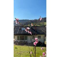 Gemütliches Ferienhaus im kl. Odenwald |Ofen, Grill & Natur| - Eberbach