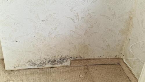 Foto - Einfamilienhaus in Anrode zum Kaufen