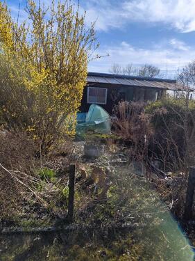 Foto - Grundst&uuml;ck in Frankfurt (Oder)