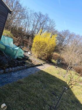 Foto - Grundst&uuml;ck in Frankfurt (Oder) zur Miete