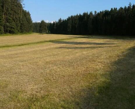 Foto - Diverse Land- und Forstwirtschaftliche Flächen