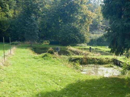 Foto - 6 Zimmer Einfamilienhaus in Wadern