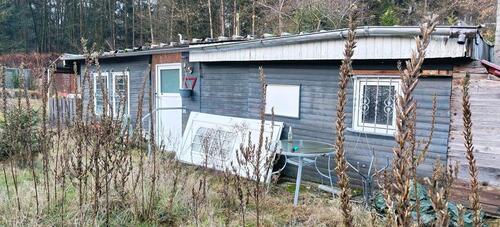 Foto - große Ferienwohnung mit Garten auf dem Waldcampingplatz