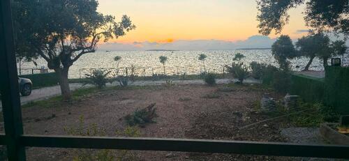 Foto - andere in Falkensee zur Miete