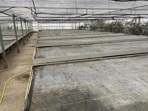 Foto - Vermietung Glasgewächshaus für Lagerung, Workshop, Pflanzenzucht