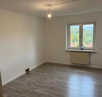 2 Raumwohnung Balkon Dusche und Wanne in Niedersachswerfen - Harztor