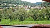Foto - 7 Zimmer Einfamilienhaus zur Miete in Walldürn