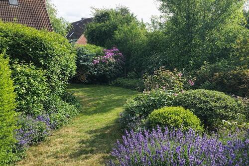 Foto - 3 Zimmer Erdgeschoßwohnung zur Miete in Rieseby