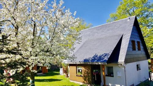 Foto - Ferienhaus, Familie + Kids, Erz. nahe Dresden, Blick Geisingberg