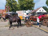 Foto - Grundst&uuml;ck zur Miete in Berlin
