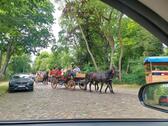 Foto - Grundst&uuml;ck in Berlin zur Miete