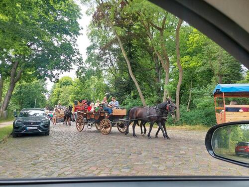 Foto - Grundst&uuml;ck in Berlin zur Miete