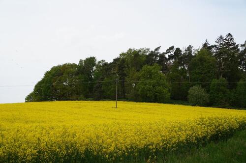 Foto - Einfamilienhaus in Domsühl