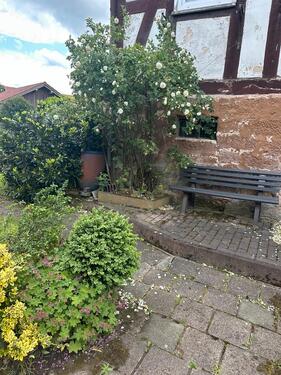 Foto - Einfamilienhaus zum Kaufen in Ottrau