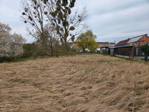 Foto - Grundst&uuml;ck in Ueckermünde zur Miete