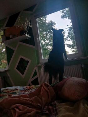 Foto - Etagenwohnung in Anklam zur Miete