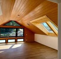 Nachmieter für TOP 2,5Zi-DG Okli Erstbezug, saniert, hell, Parken - Otzberg