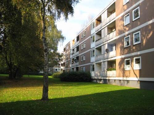 Foto - 3.5 Zimmer Etagenwohnung zur Miete in Gelsenkirchen