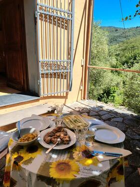 Foto - Liebevoll restorietes Rustica mit Olivenbäume zu verkaufen