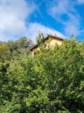 Foto - 3 Zimmer Einfamilienhaus in Bad Aibling