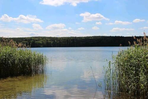 Foto - Freifläche in idyllischer Lage bei Storkow