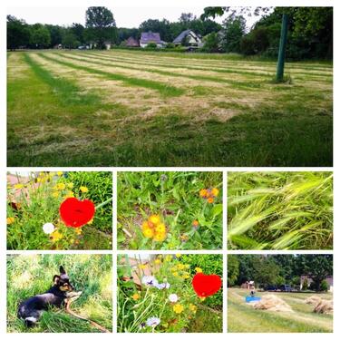 Foto - andere in Nauen