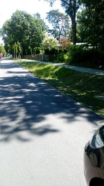 Foto - Waldgrundstück zu verpachten - 2.000,00 EUR Kaltmiete, ca.  0,00 m²