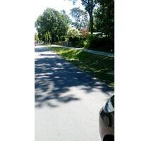 Waldgrundstück zu verpachten - 2.000,00 EUR Kaltmiete, ca.  0,00 m² in Falkensee (PLZ: 14612)