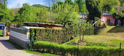 Foto - Einfamilienhaus zum Kaufen in Bleicherode