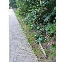 zu verpachten kleines Waldgrundstück in Falkensee