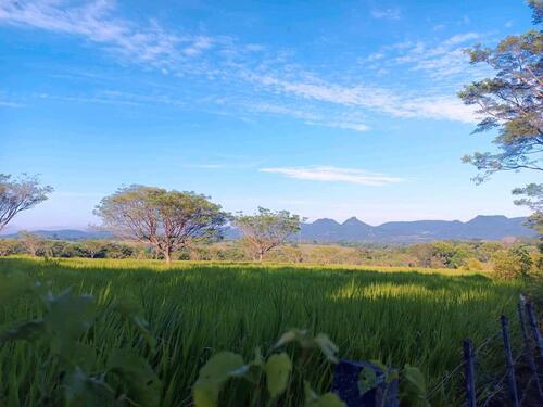 Foto - andere in Schillingsfürst
