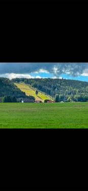 Foto - Einfamilienhaus in Mehlmeisel