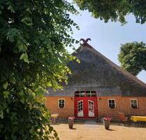 Ferienwohnung Gastpaddock Gastpferd Ostsee Dierhagen Urlaub