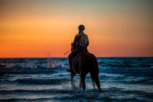 Foto - andere zur Miete in Dierhagen