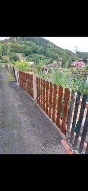 Foto - 