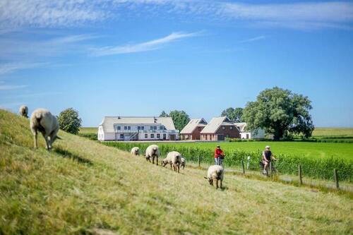 Foto - andere in Butjadingen