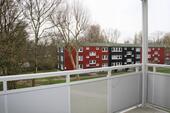 Foto - 