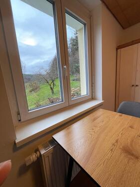 Foto - Möbl. Wohnung (2 ZW) mit Balkon in Lahr-Reichenbach (befristet)