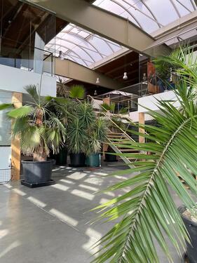 Foto - andere in Bochum zur Miete