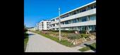 Foto - Terrassenwohnung in Großenbrode zum Kaufen