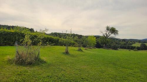 Foto - Einfamilienhaus zum Kaufen in Saldenburg